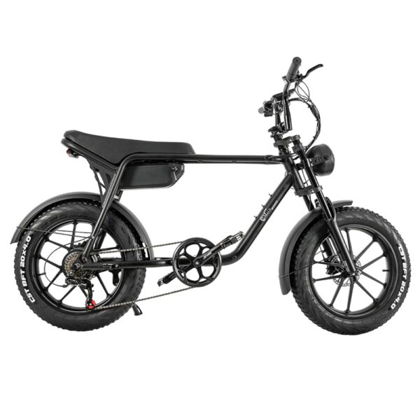 CMACEWHEEL K20 E-Bike