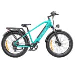 ENGWE E26 Step-over E-Bike