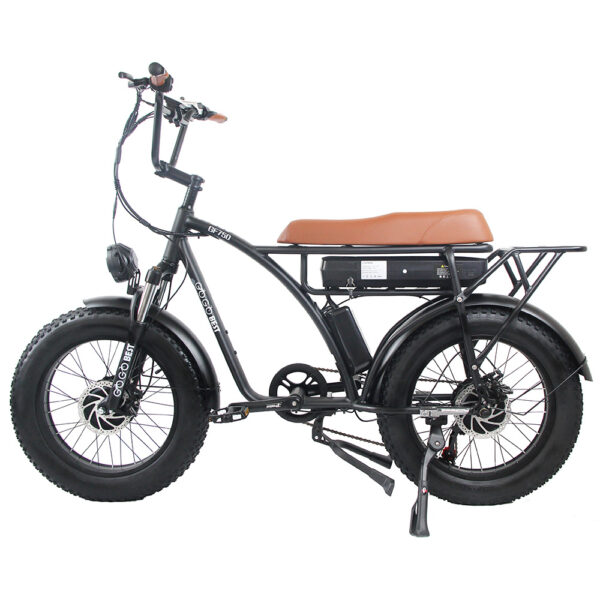 GOGOBEST GF750 Electric Bicycle