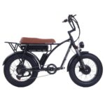GOGOBEST GF750 Plus E-Bike