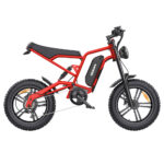 Hidoes B6 Electric Bike