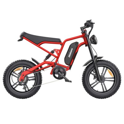 Hidoes B6 Electric Bike