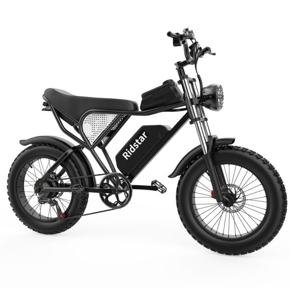 Ridstar Q20 Electric Bike