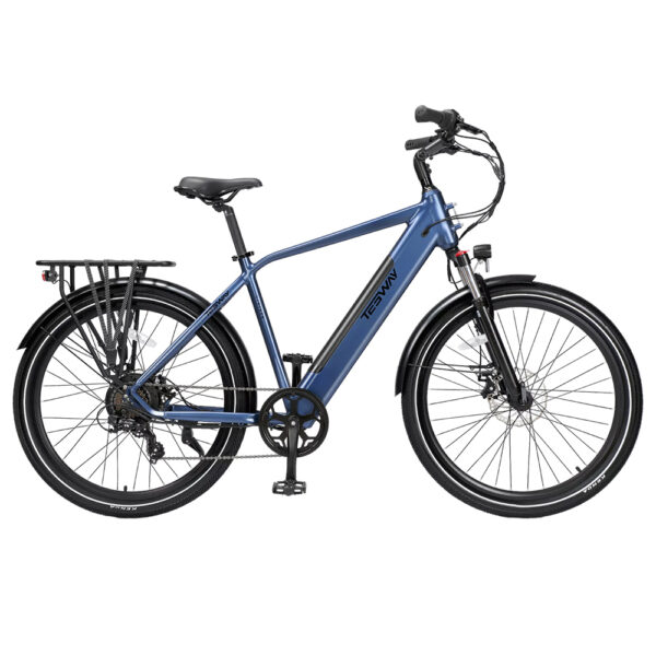 TESWAY Electric Bike