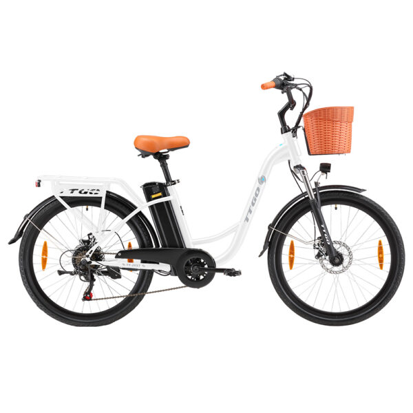 TTGO YY-26ST Electric Bike