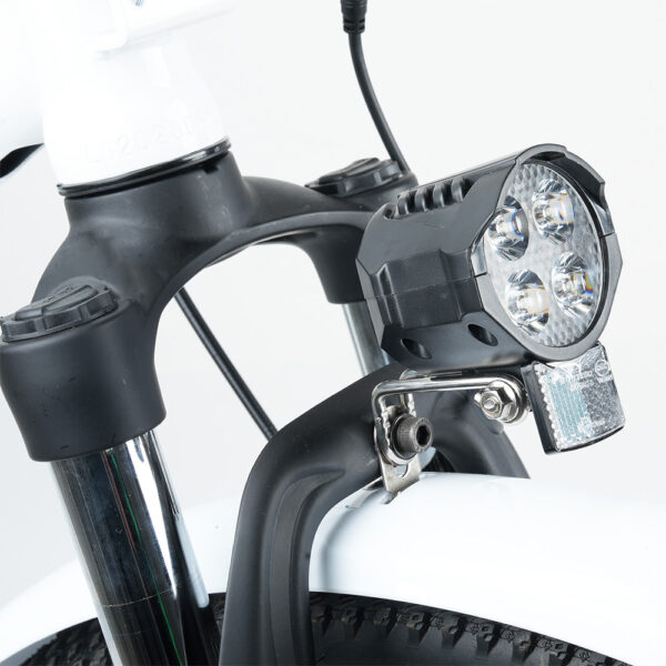 isinwheel U2 Electric Bike - Image 5